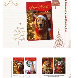 BIGLIETTI AUGURI 12PZ XMAS ANIMALI SOGGETTI ASSORTITI