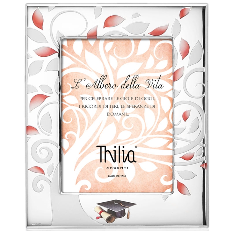 CORNICE 13X18CM DECORO   ALBERO DELLA VITA LAUREA