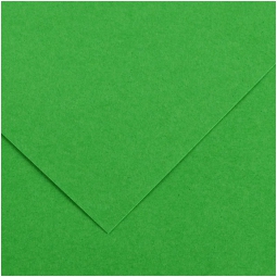 FOGLI DISEGNO A4 220GR 50FG VERDE BRILLANTE COLORLINE