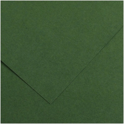 FOGLI DISEGNO A4 220GR 50FG VERDE ABETE COLORLINE