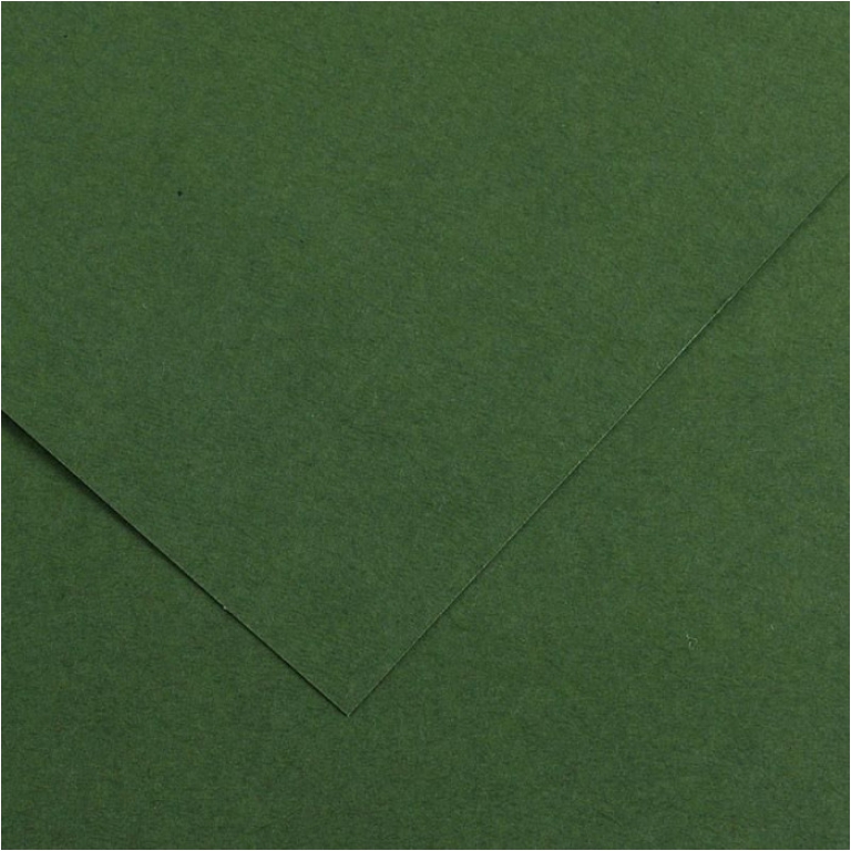 FOGLI DISEGNO A4 220GR 50FG VERDE ABETE COLORLINE