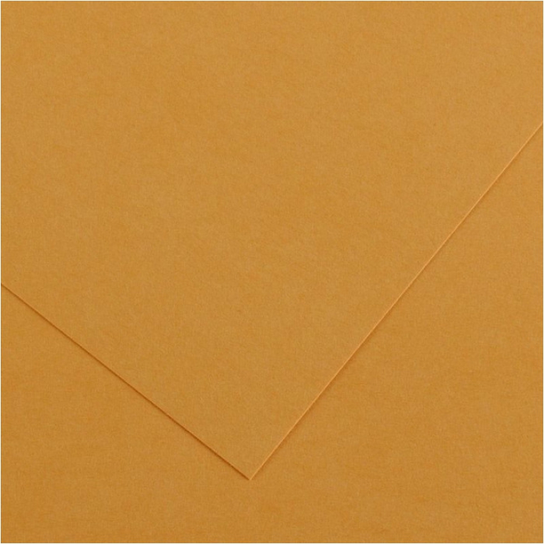 FOGLI DISEGNO A4 220GR 50FG CUOIO COLORLINE