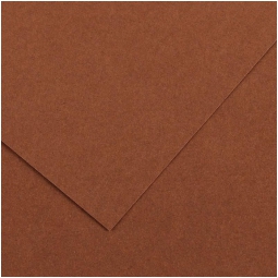 FOGLI DISEGNO A4 220GR 50FG CIOCCOLATO COLORLINE