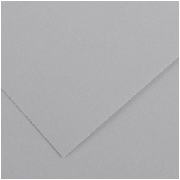 FOGLI DISEGNO A4 220GR 50FG GRIGIO CHIARO COLORLINE