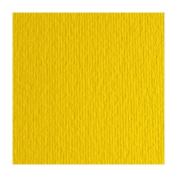 FOGLI DISEGNO 35X50 220GR 10FG GIALLO L/R