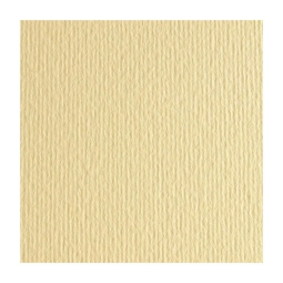 FOGLI DISEGNO 35X50 220GR 10FG ONICE L/R