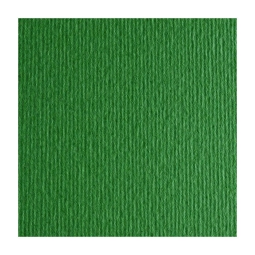 FOGLI DISEGNO 35X50 220GR 10FG VERDE L/R