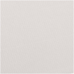 FOGLI DISEGNO 50X70 220GR 25FG BIANCO COLORLINE