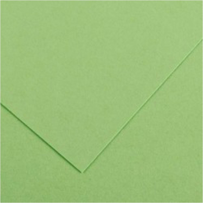FOGLI DISEGNO 50X70 220GR 25FG VERDE MELA COLORLIN