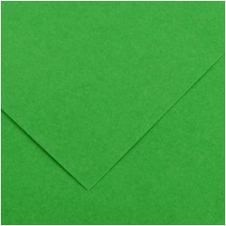 FOGLI DISEGNO 50X70 220GR 25FG VERDE BRILLA COLORL