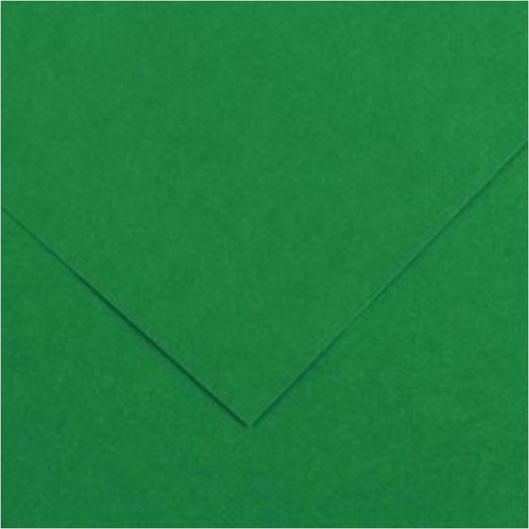 FOGLI DISEGNO 50X70 220GR 25FG VERDE VIVO COLORLIN