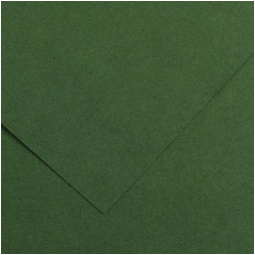 FOGLI DISEGNO 50X70 220GR 25FG VERDE ABETE COLORLI