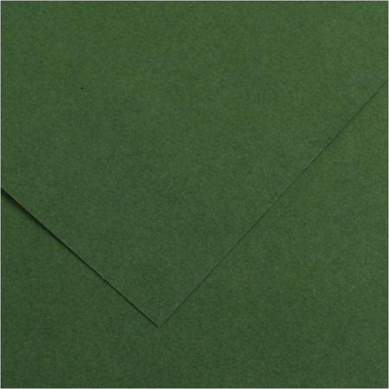 FOGLI DISEGNO 50X70 220GR 25FG VERDE ABETE COLORLI