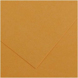 FOGLI DISEGNO 50X70 220GR 25FG CUOIO COLORLINE