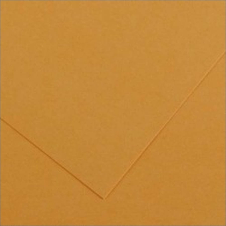 FOGLI DISEGNO 50X70 220GR 25FG CUOIO COLORLINE