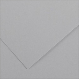 FOGLI DISEGNO 50X70 220GR 25FG GRIGIO CHIARO COLOR