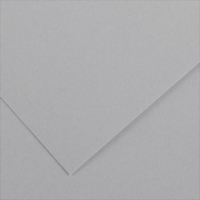 FOGLI DISEGNO 50X70 220GR 25FG GRIGIO CHIARO COLOR