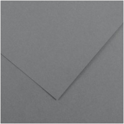 FOGLI DISEGNO 50X70 220GR 25FG GRIGIO SCURO COLORL