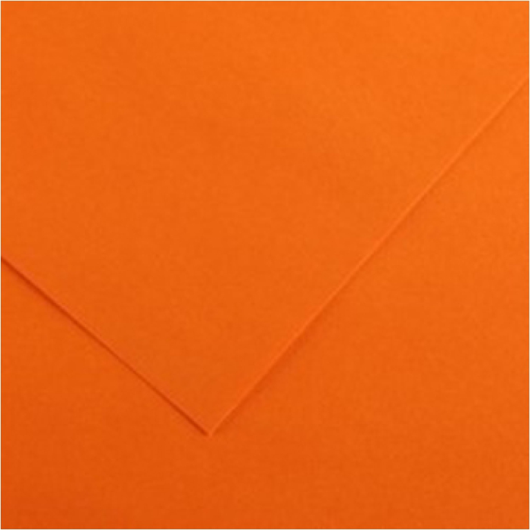 FOGLI DISEGNO 50X70 220GR 25FG ARANCIONE COLORLINE