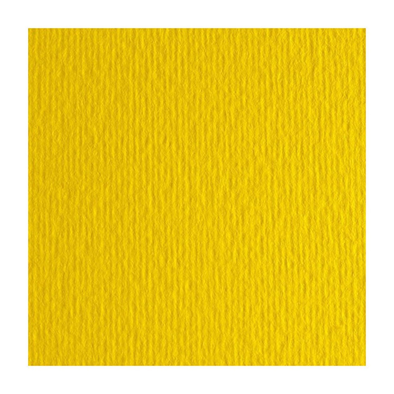 FOGLI DISEGNO 50X70 220GR 20FG GIALLO