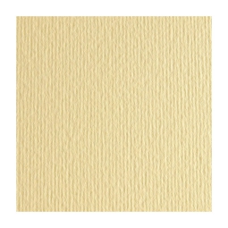 FOGLI DISEGNO 50X70 220GR 20FG CAMOSCIO ONICE