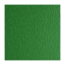 FOGLI DISEGNO 50X70 220GR 20FG VERDE BANDIERA