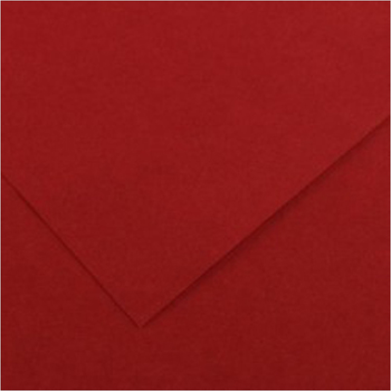 FOGLI DISEGNO 50X70 220GR 25FG GRANATA COLORLINE