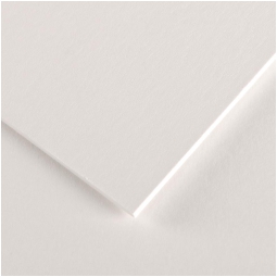 FOGLI 100X140 5PZ CONSERVATION CANSON 2,4MM