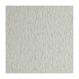 FOGLI DISEGNO 70X100 220GR 10FG BRINA