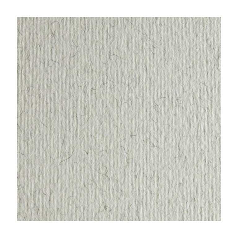 FOGLI DISEGNO 70X100 220GR 10FG BRINA