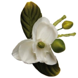 MAZZOLINO MINI ORCHIDEA  12PZ AVORIO
