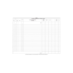 RG CARICO SCARICO OLI MINERALI MOD.B STAZIONI SERV