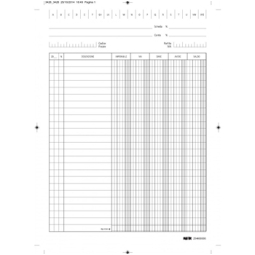 SCHEDE 240X170 D-A-S -IVA 100PZ  VERTICALE   301