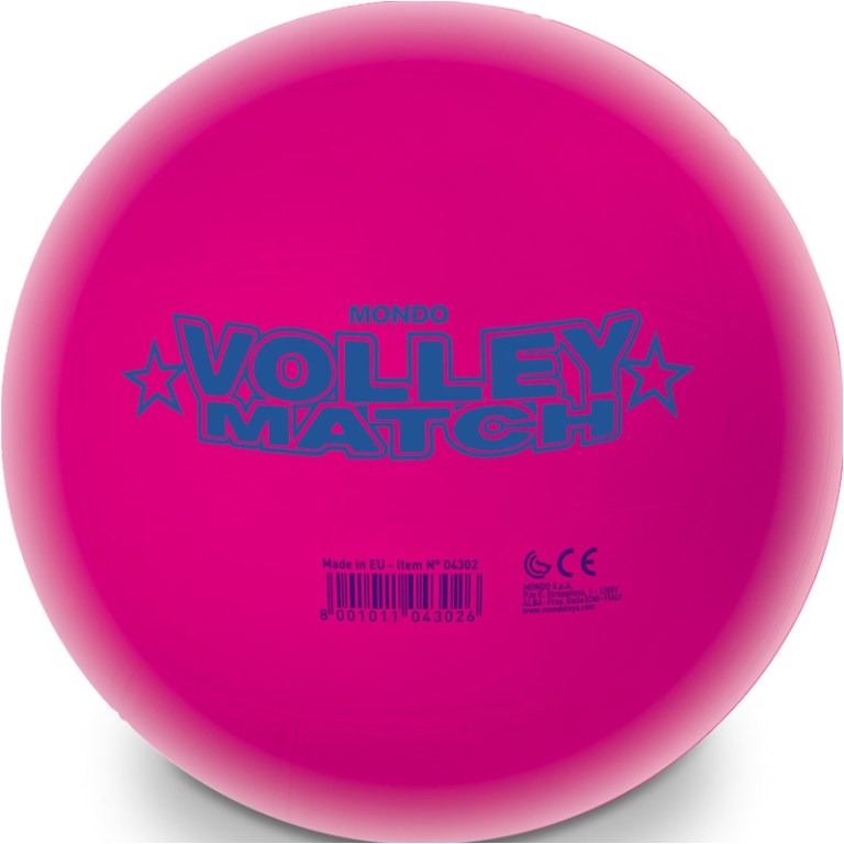 PALLONE VOLLEY FLUO 228GR IN RETE SGONFIO 2