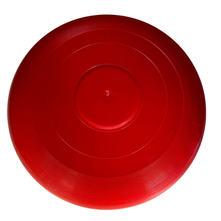FREESBE 27CM 5