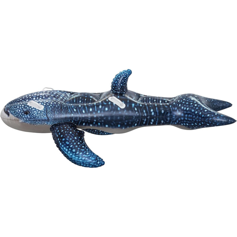 CAVALCABILE SQUALO BALENA 193CM 3