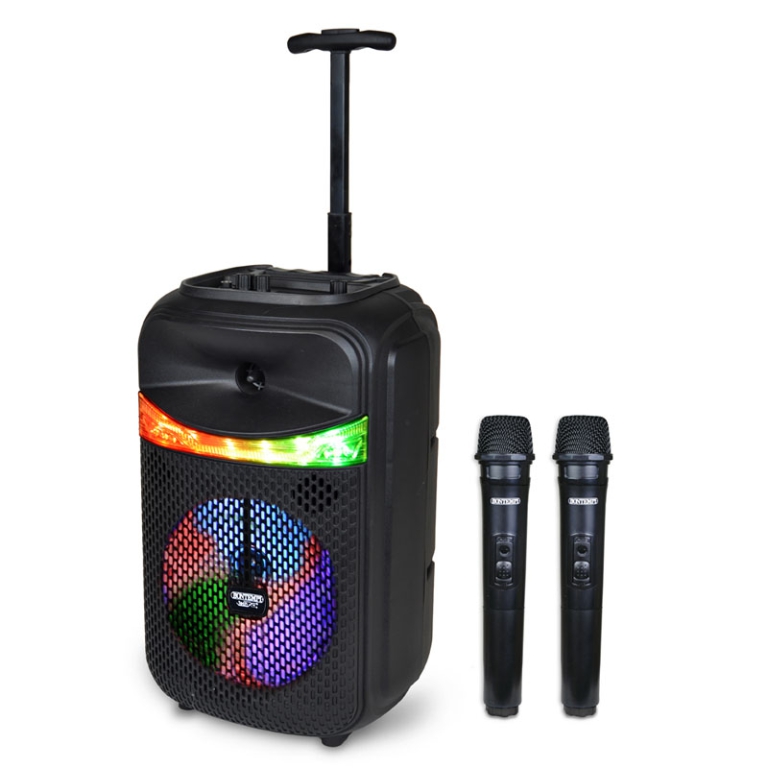SPEAKER WIRELESS TROLLEY AMPLIFICATORE CON LED 2 MICROFONI 3