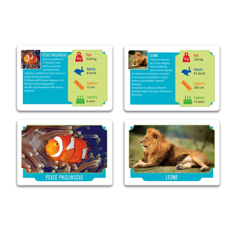 CARTE DA GIOCO ANIMALI DA RECORD 2