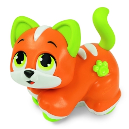 GATTINO CERCACOCCOLE