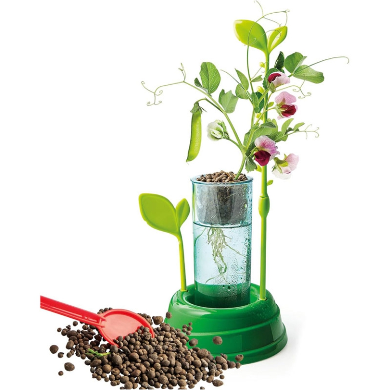 LA BOTANICA L'IDROCOLTURA A CASA TUA! 7+ ANNI 2