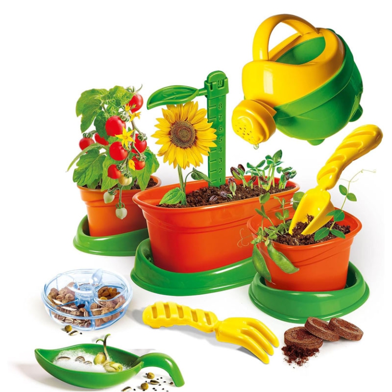 LABORATORIO APPRENDISTI  BOTANICI 5+ ANNI 2