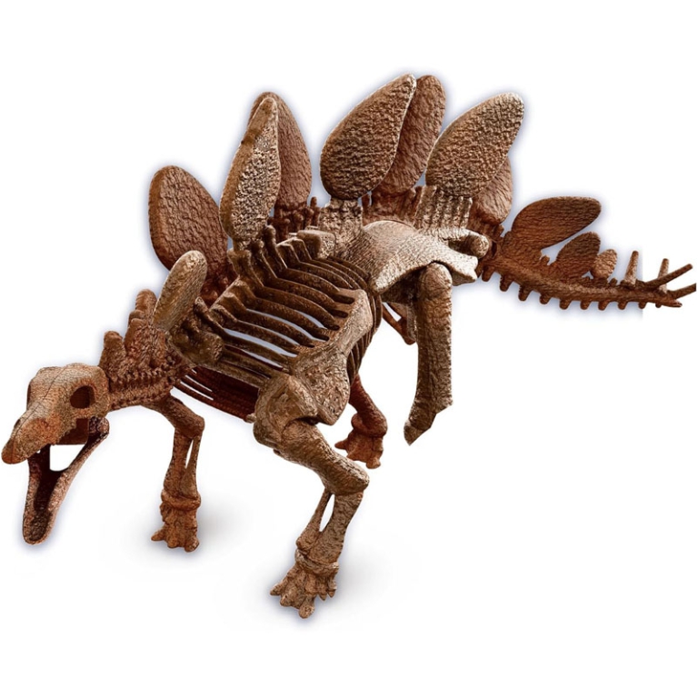 ARCHEOGIOCANDO STEGOASAURO 6+ ANNI 2