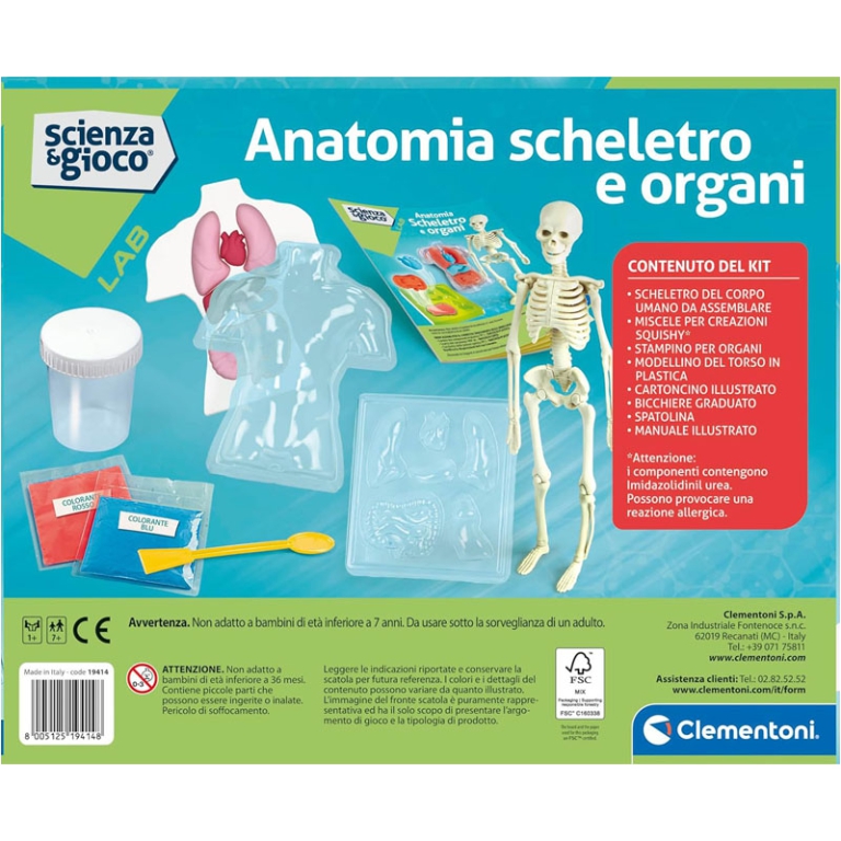 ANATOMIA SCHELETRO E ORGANI 7+ ANNI 3