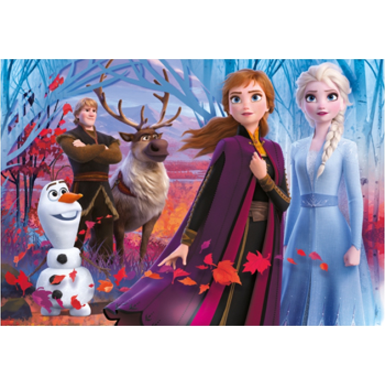 PUZZLE 104PZ FROZEN 2    6+ ANNI 2