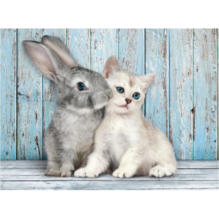 PUZZLE 500PZ CAT & BUNNY 2