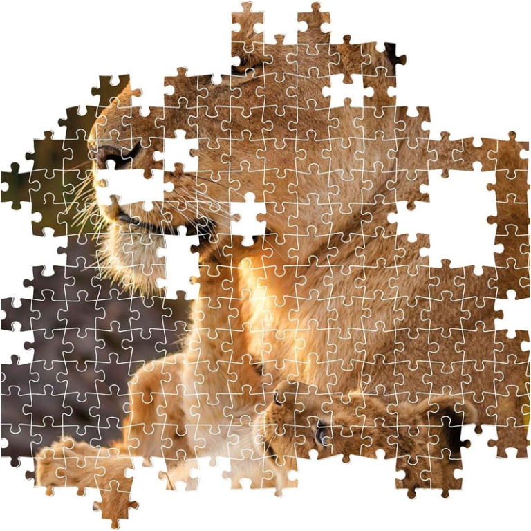 PUZZLE 500PZ FELINI 14+ ANNI 2