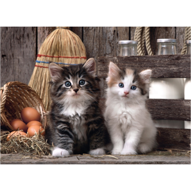 PUZZLE 1000PZ LOVELY KITTENS 2