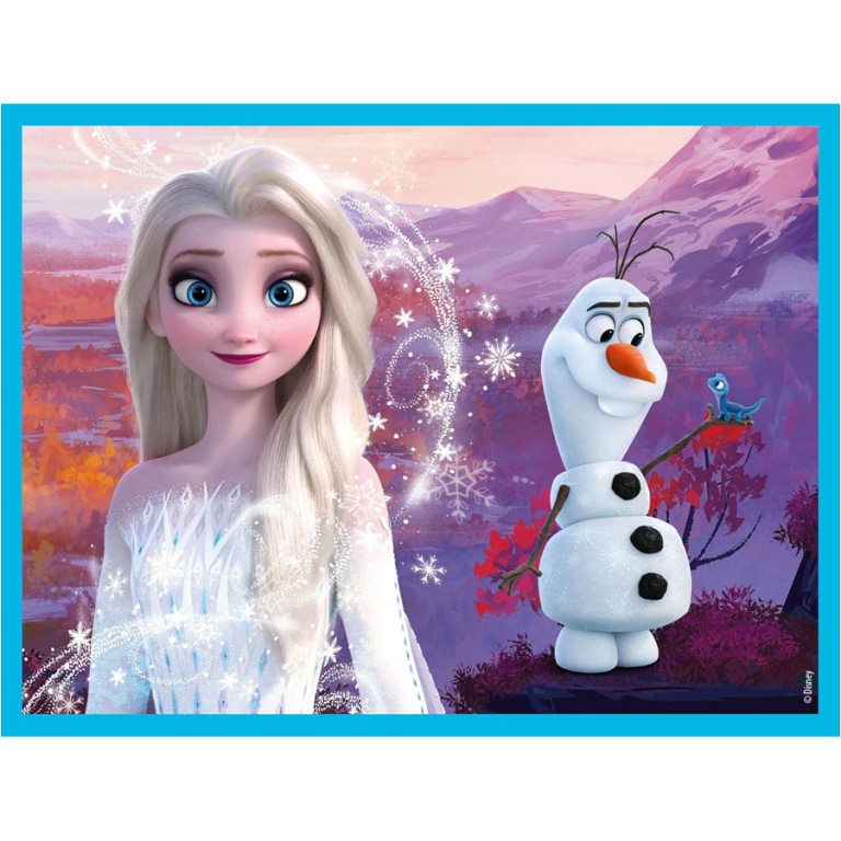 CUBI 12PZ FROZEN 5