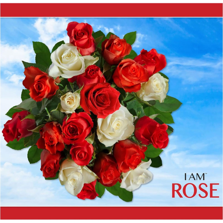 PUZZLE SAGOMATO 350PZ FIORE ROSA 3
