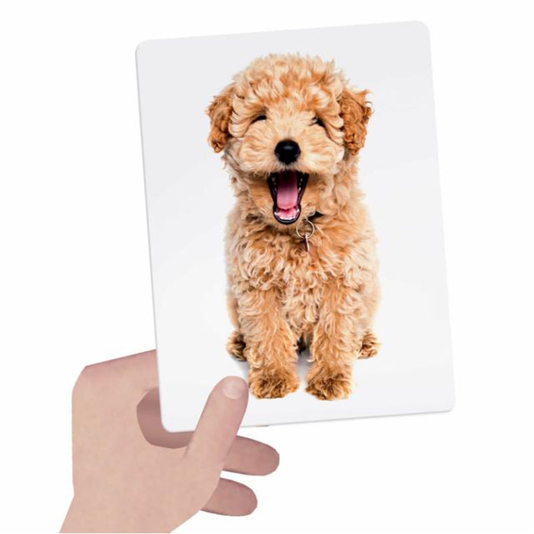 FLASHCARDS TACTILE MONTESSORI 1-4 ANNI 2